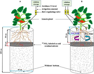 Alternate Partial Root-Zone Drip Nitrogen Fertigation Reduces Residual Nitrate Loss While Improving the Water Use but Not Nitrogen Use Efficiency